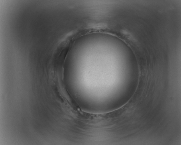 X0000067531398200604211831