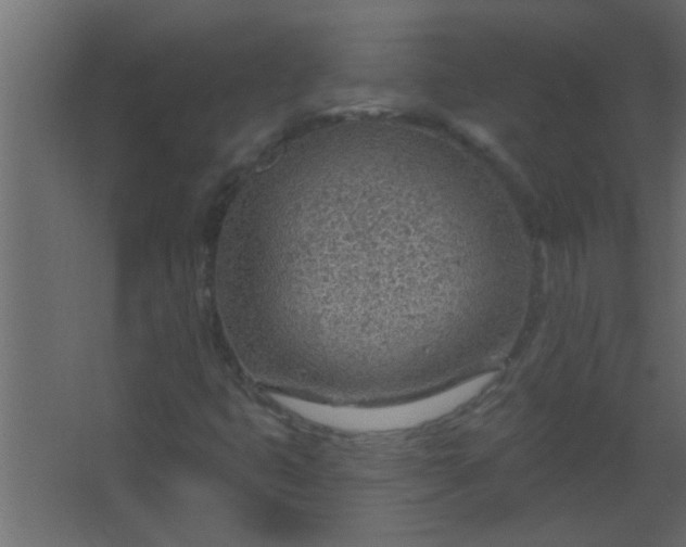 X0000067531399200604211831