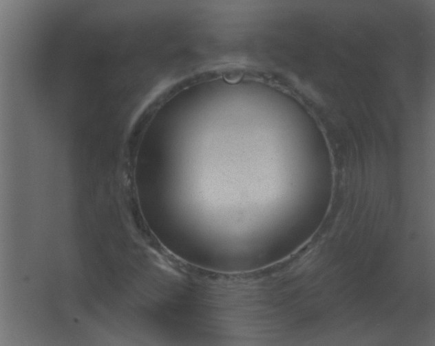 X0000067531400200604211831