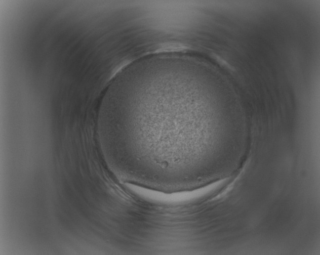 X0000067531401200604211831