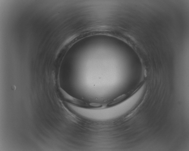 X0000067531402200604211831