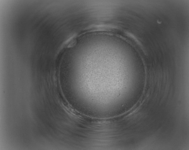 X0000067531403200604211831