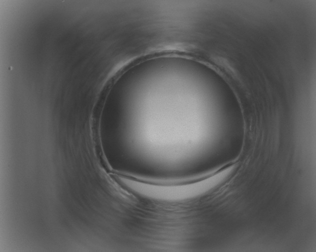 X0000067531404200604211831