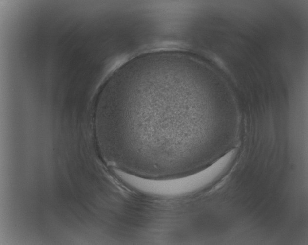 X0000067531405200604211831