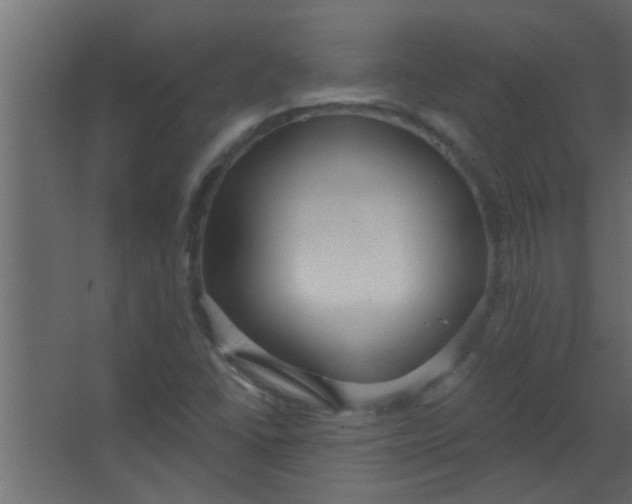 X0000067531406200604211831