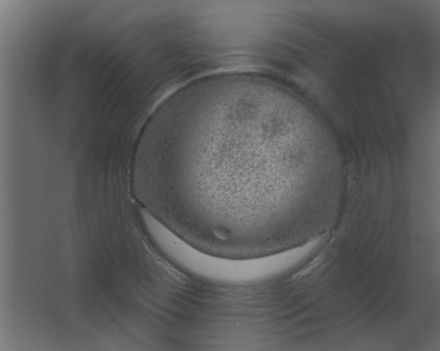 X0000067531409200604211832