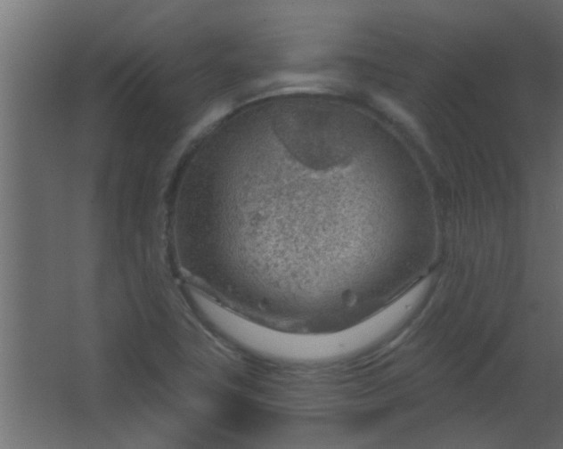 X0000067531411200604211832