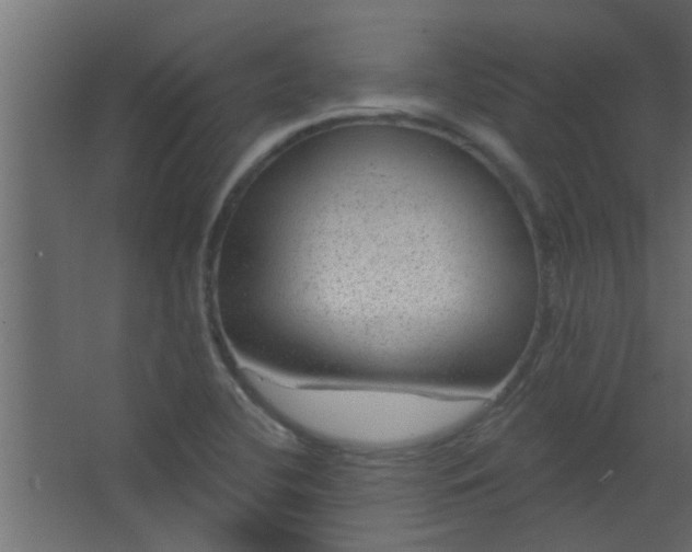 X0000067531412200604211832