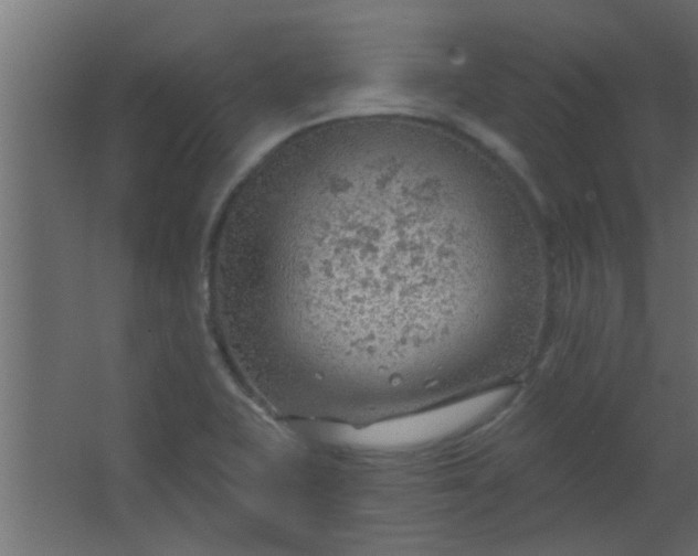 X0000067531415200604211832