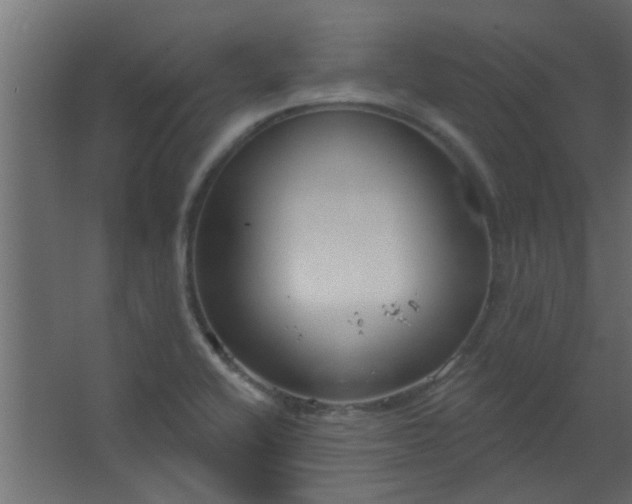 X0000067531416200604211832