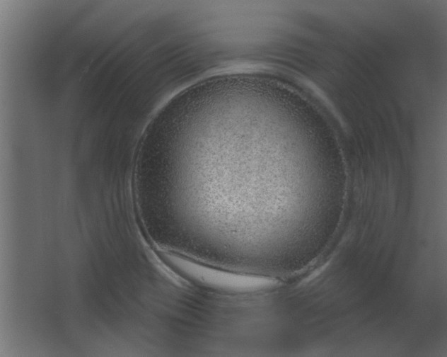 X0000067531417200604211832