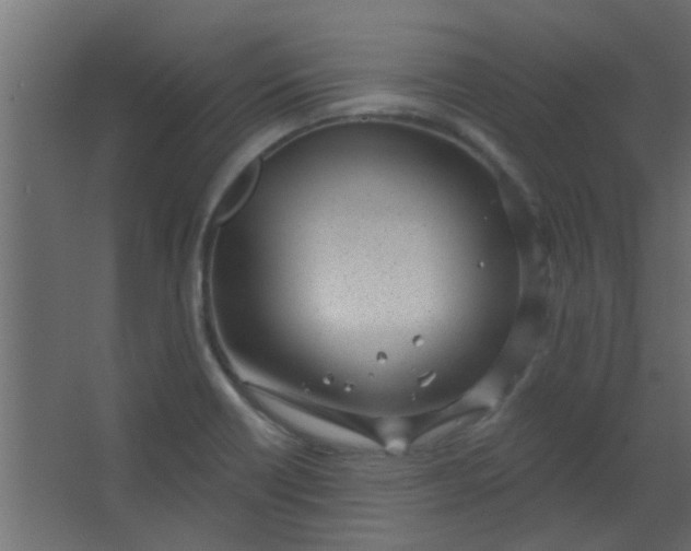 X0000067531418200604211832