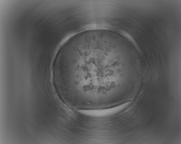 X0000067531419200604211832