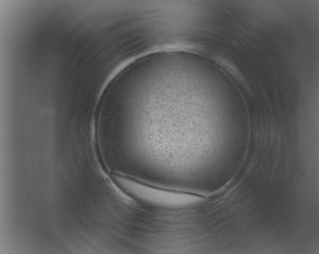 X0000067531420200604211832