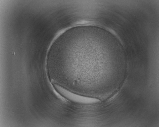 X0000067531421200604211832