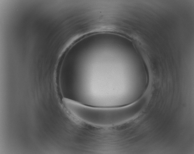 X0000067531422200604211832