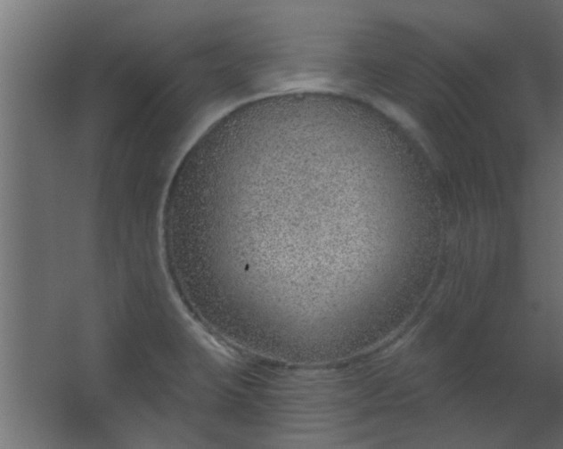 X0000067531423200604211832