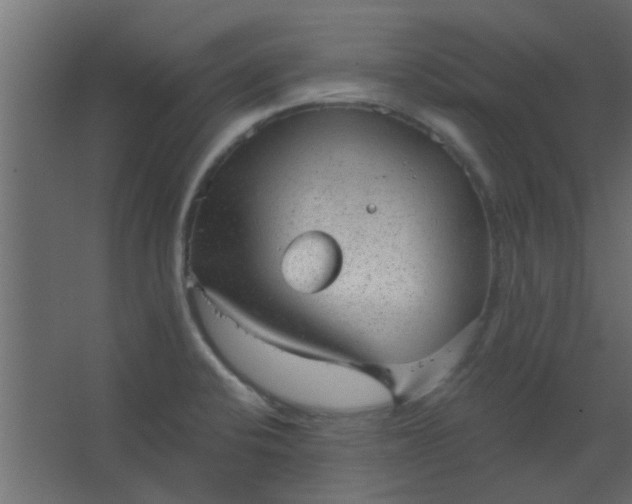 X0000067531424200604211832