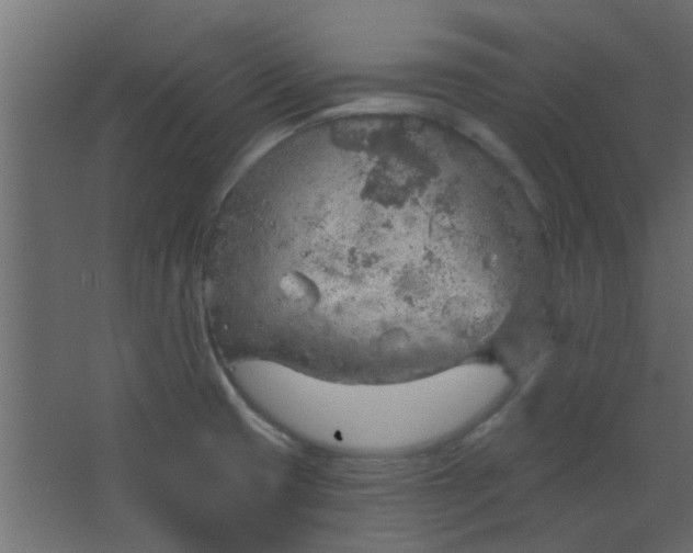 X0000067531425200604211832