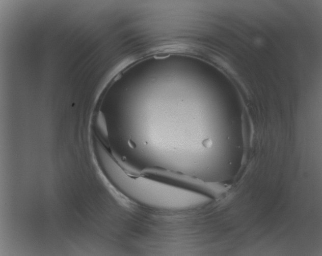 X0000067531426200604211832