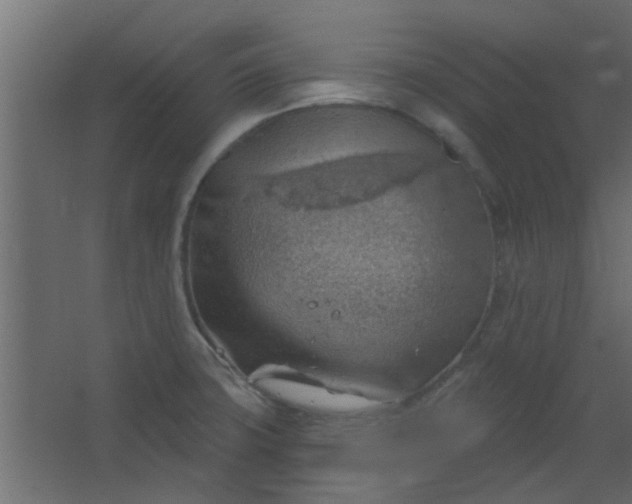 X0000067531427200604211832