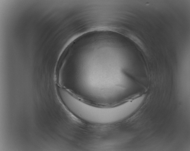 X0000067531428200604211832