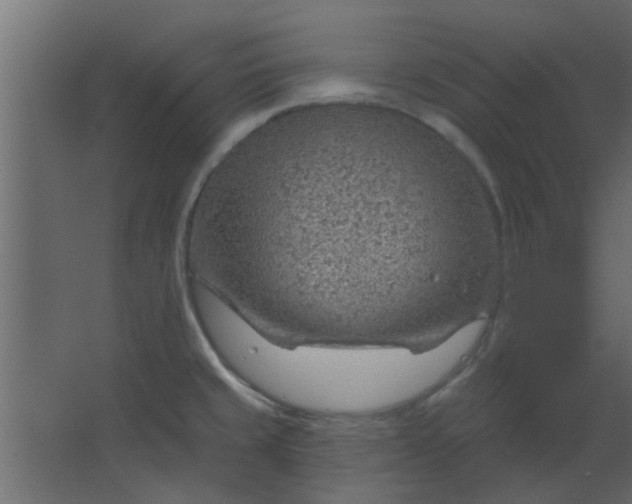 X0000067531429200604211832