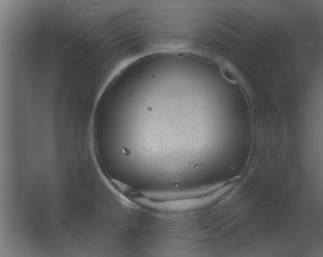 X0000067531432200604211832