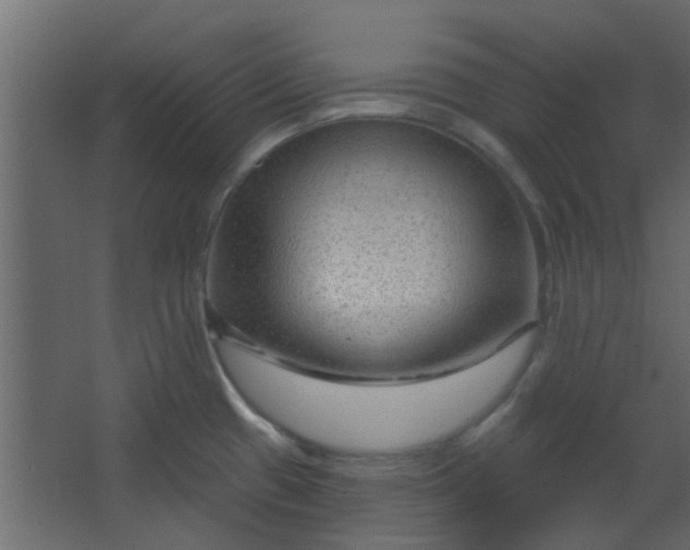 X0000067531433200604211832