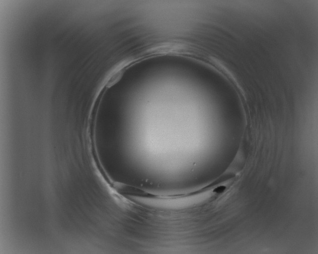 X0000067531434200604211832