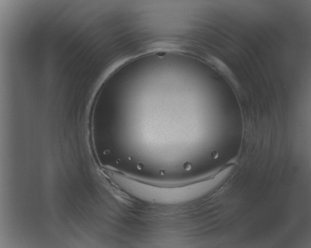 X0000067531435200604211832