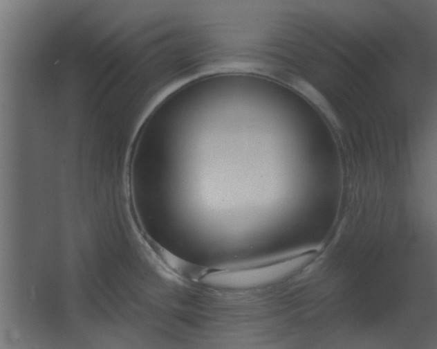 X0000067531436200604211832