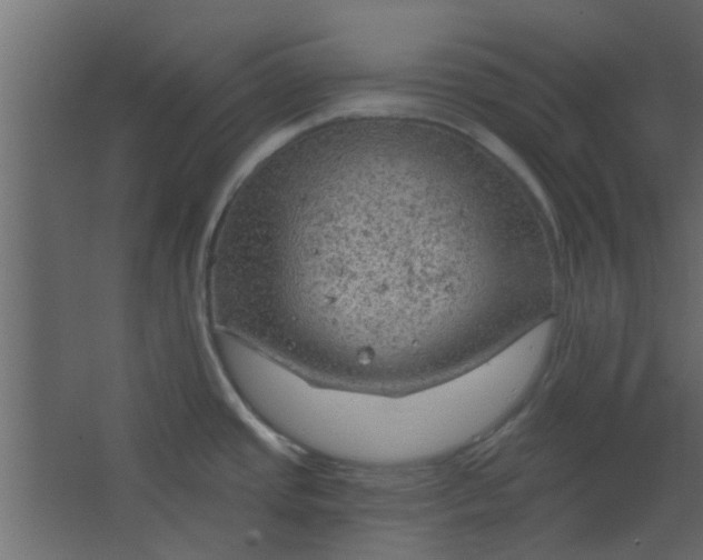 X0000067531437200604211832