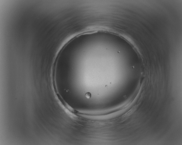 X0000067531438200604211832