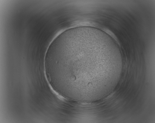 X0000067531439200604211832