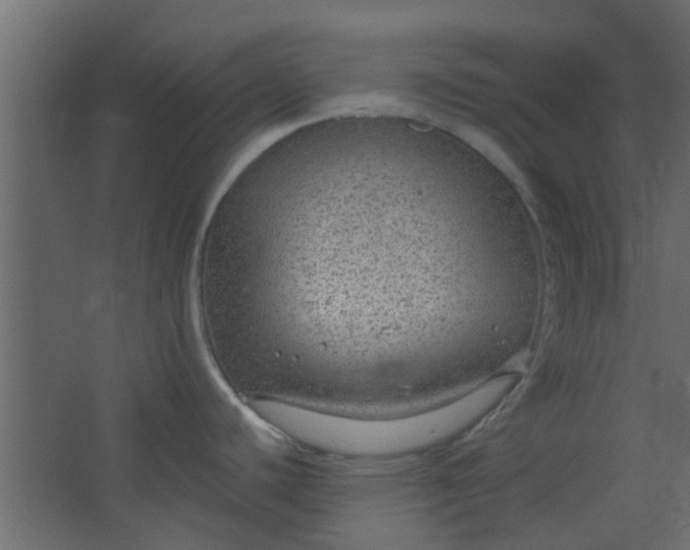 X0000067531440200604211832