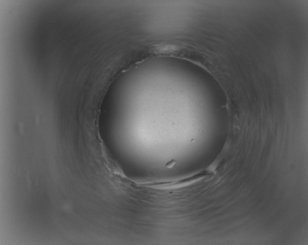 X0000067531441200604211831