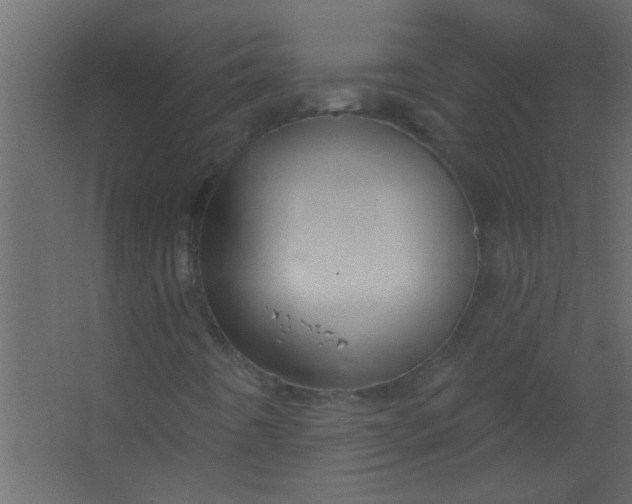 X0000067531442200604211831