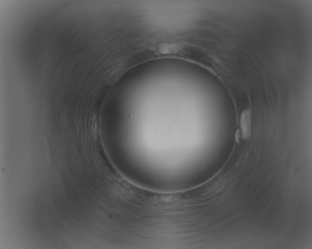 X0000067531443200604211831