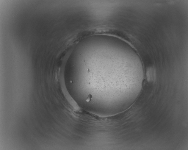 X0000067531444200604211831