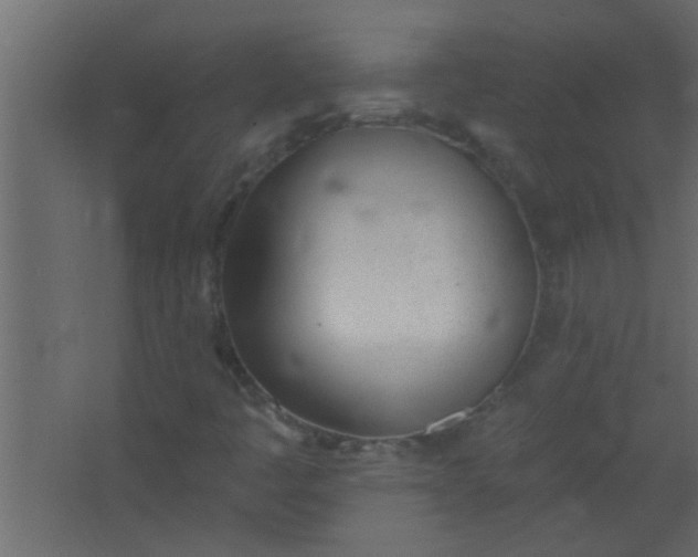 X0000067531445200604211831