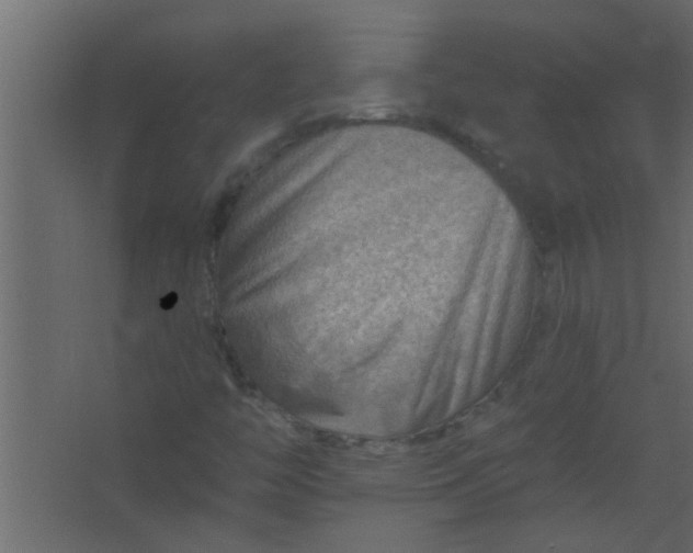 X0000067531446200604211831