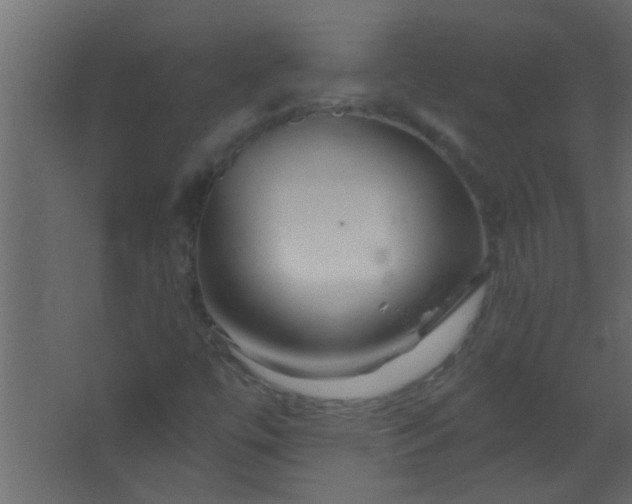 X0000067531447200604211831