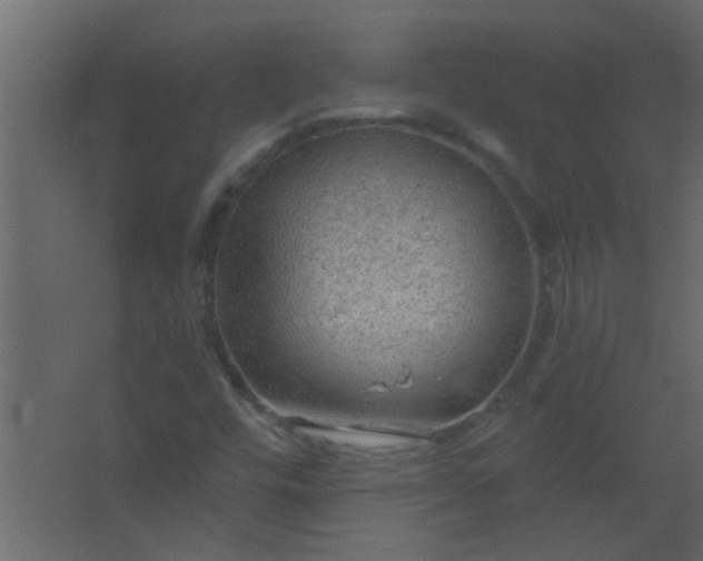 X0000067531448200604211831