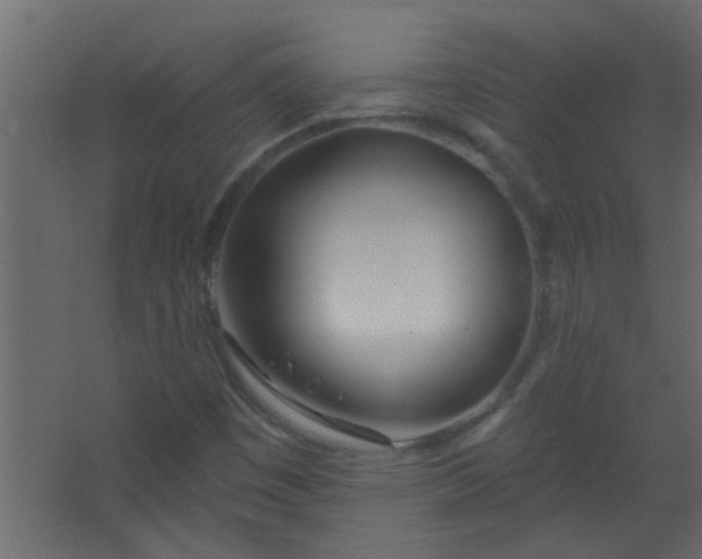 X0000067531449200604211831