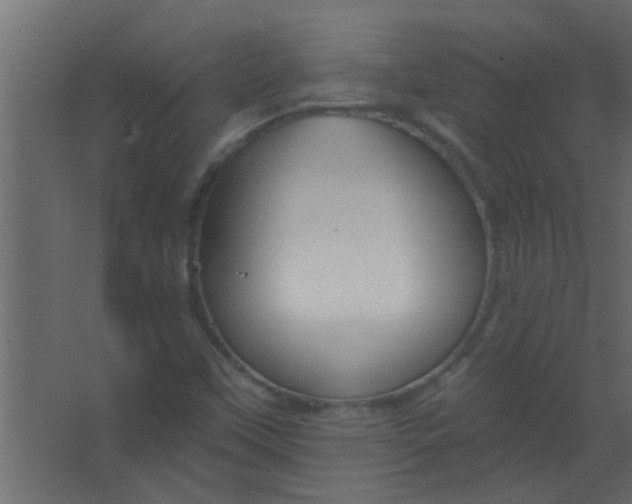 X0000067531451200604211831