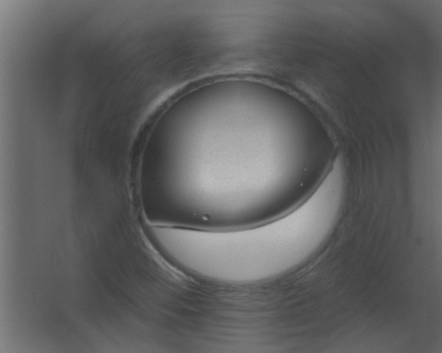 X0000067531452200604211831