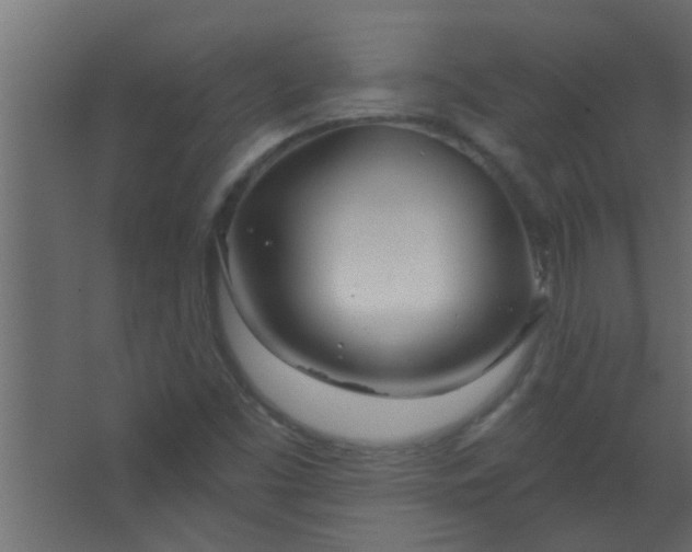 X0000067531453200604211831