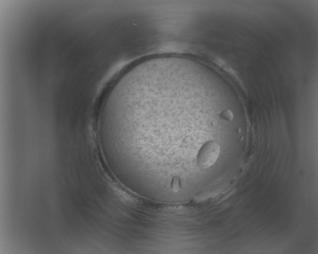 X0000067531454200604211831