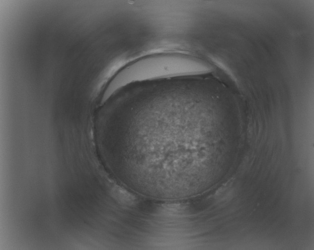 X0000067531455200604211831